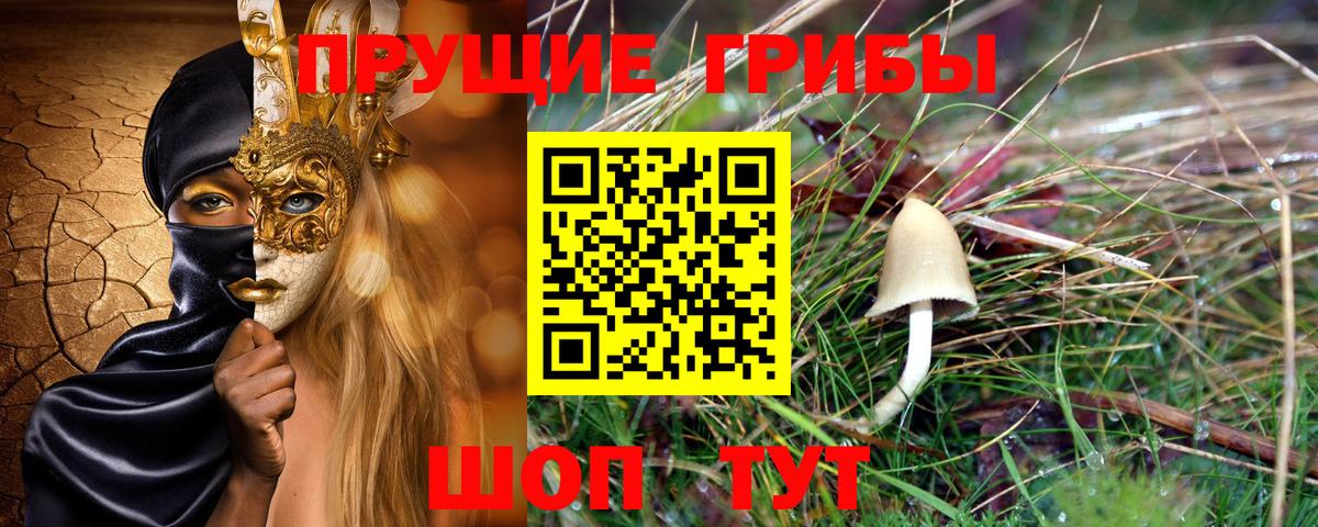 Псилоцибиновые грибы мухоморы Россия