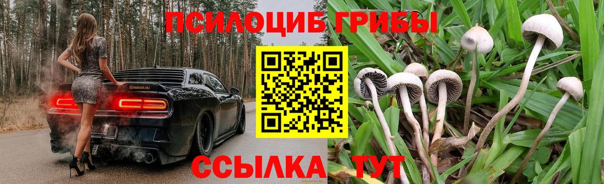 Галлюциногенные грибы мицелий  Вход с VPN  Галлюциногенные грибы мицелий  Россия 